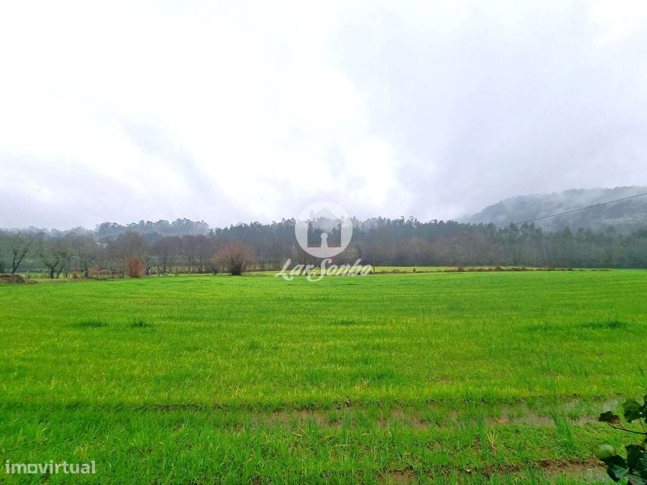 Quinta em Barcelos - Grande imagem: 4/29