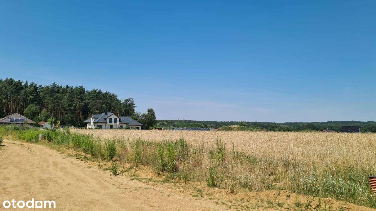 Uzbrojona działka pod lasem blisko Wrocławia - Pełny obrazek: 5/12