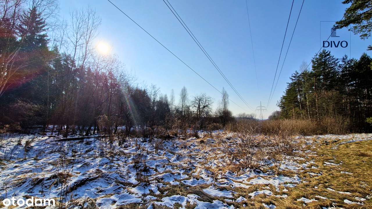 Działka blisko zalewu Chechło - Pełny obrazek: 4/7