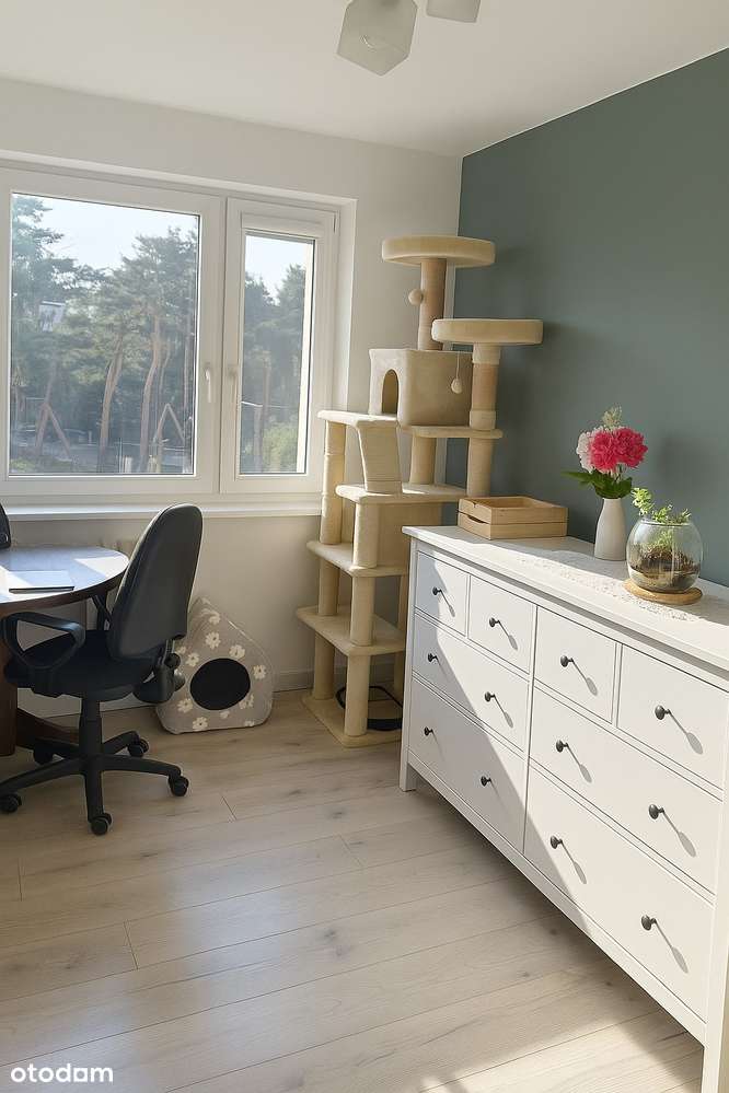 3 pokoje po generalnym remoncie , 2 piwnice duży balkon - Pełny obrazek: 5/12