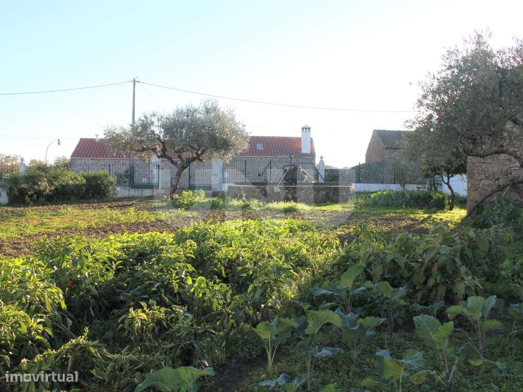 Quinta para venda em Oledo, Idanha-a-Nova, Portugal-24