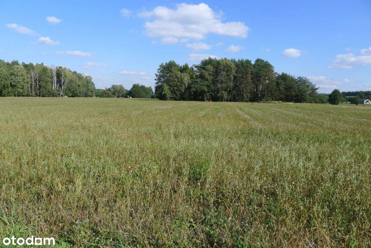 2500 m² – Ignacew Rozlazły, gm. Parzęczew – Mpzp-5