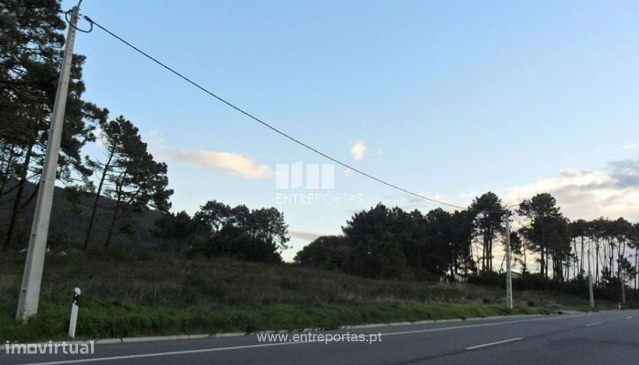 Terreno - Carreço - Grande imagem: 3/4