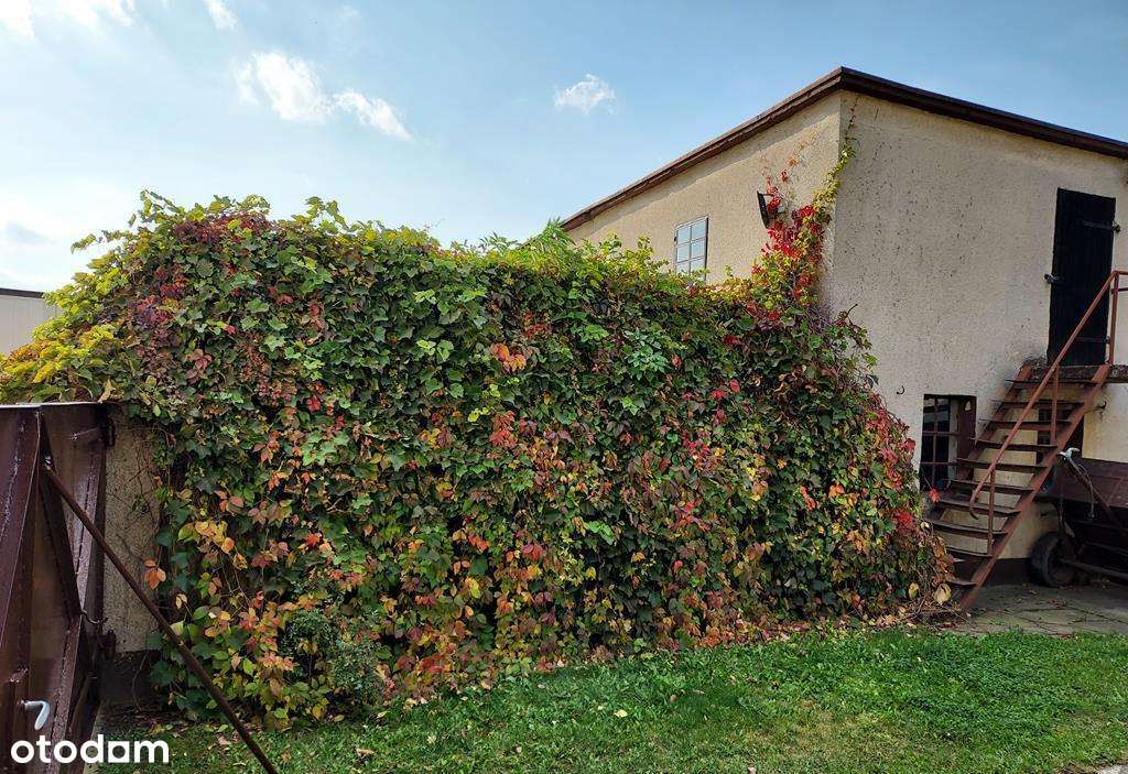 Oferta dla inwestora ! - Pełny obrazek: 4/4