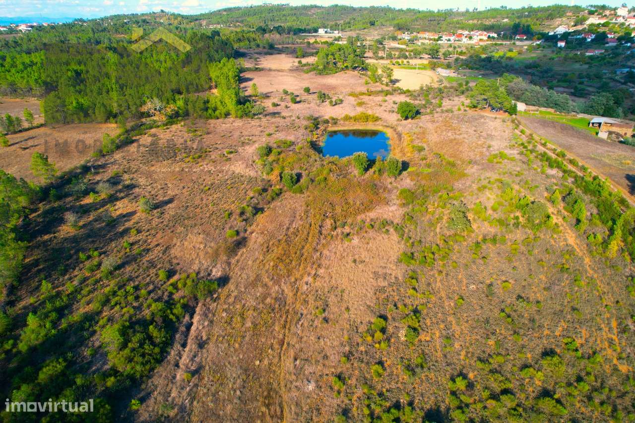 Terreno Rústico  Venda em Cebolais de Cima e Retaxo,Castelo Branco - Grande imagem: 5/10