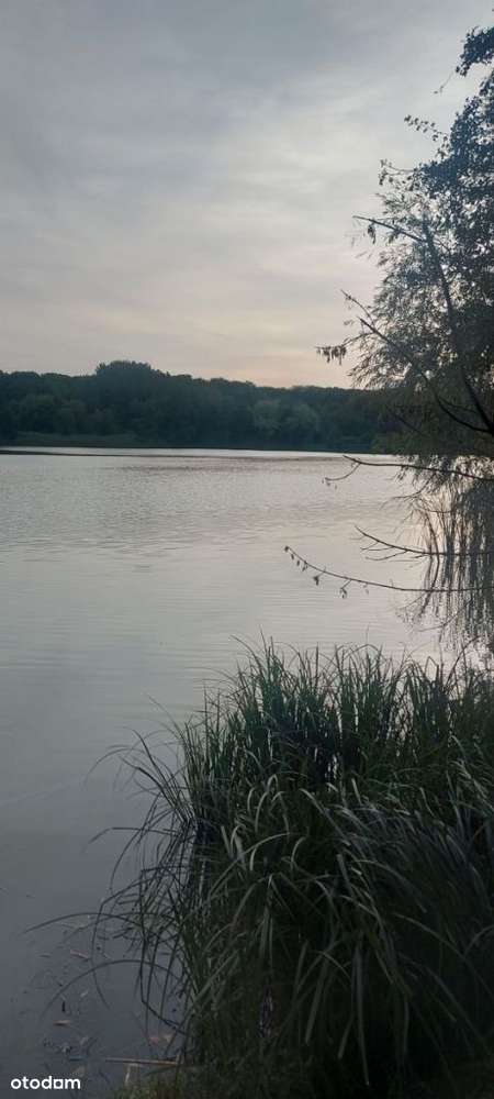 Malownicza działka rolna w pobliżu jeziora-11