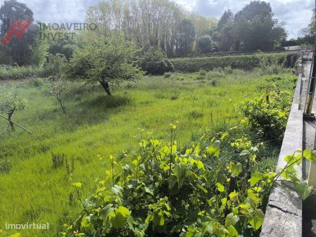 Quinta com Moradia Isolada e 4.450m² de Terreno Oiã Oliveira d Bairro-42