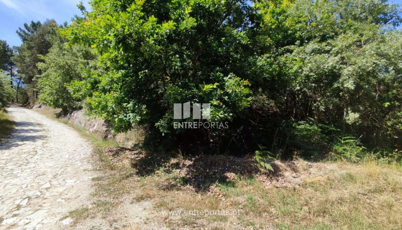 Venda Terreno com 4228m2, Soalhães, Marco de Canaveses - Grande imagem: 4/30