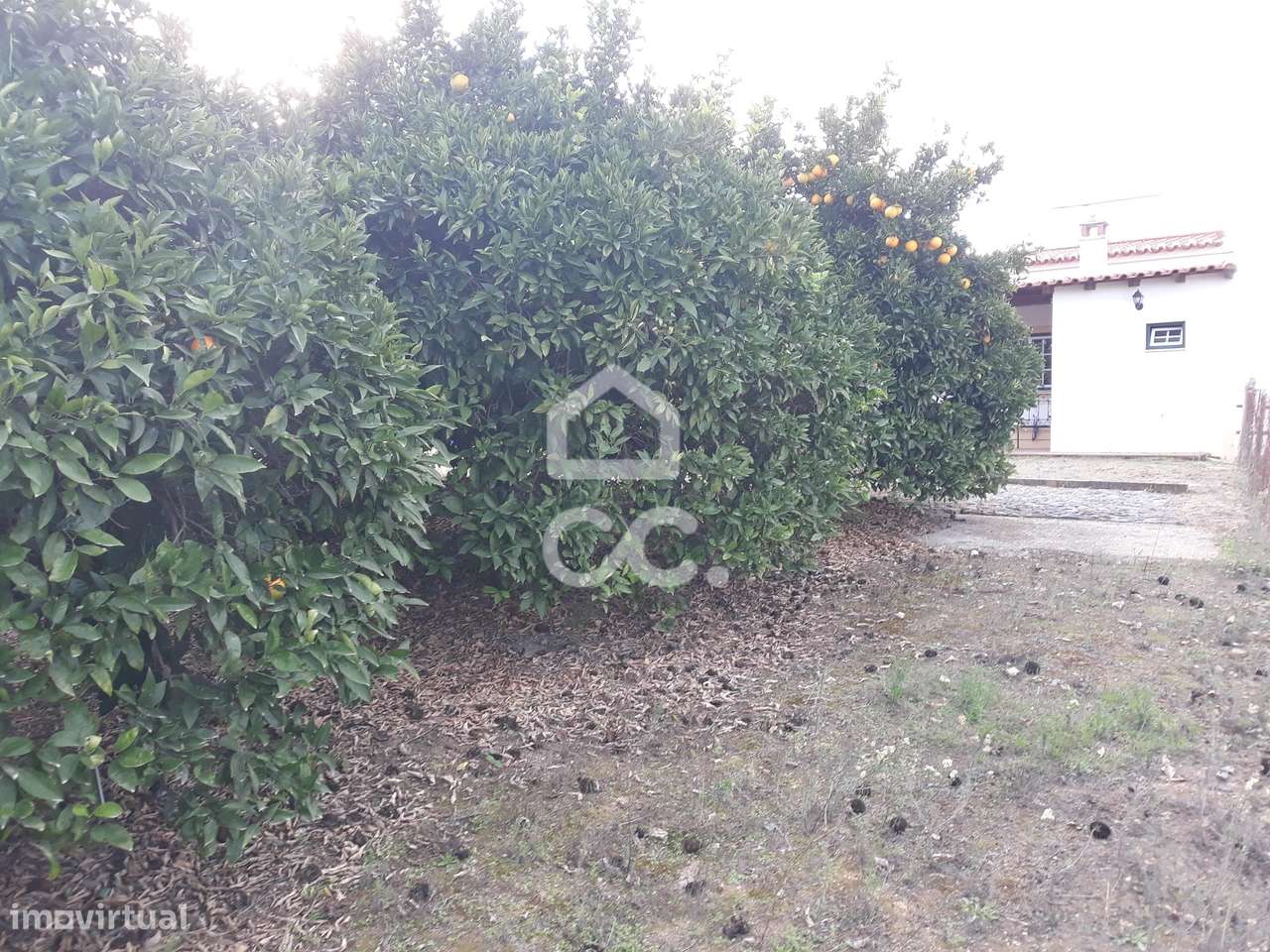 Quinta  em Beringel-28