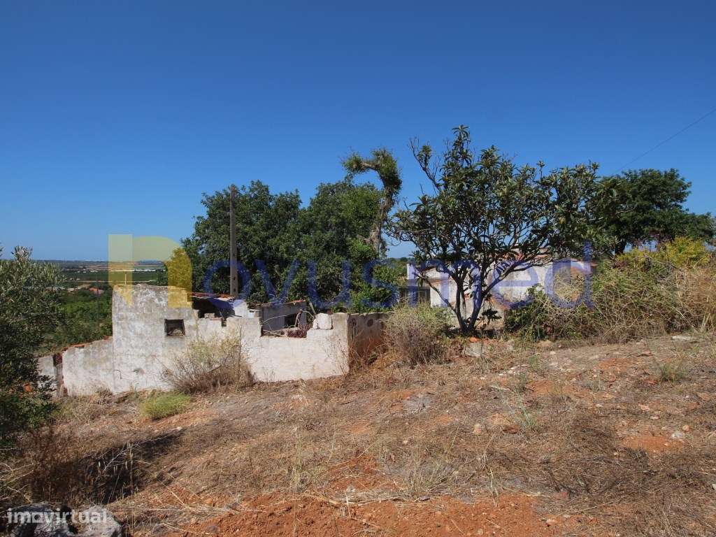 Casa com Projeto Aprovado para Moradia T3 com Piscina | Poço Barret...-39