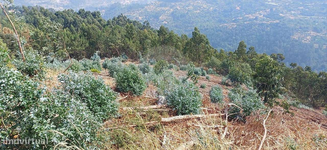 Terreno  para venda - Grande imagem: 3/6