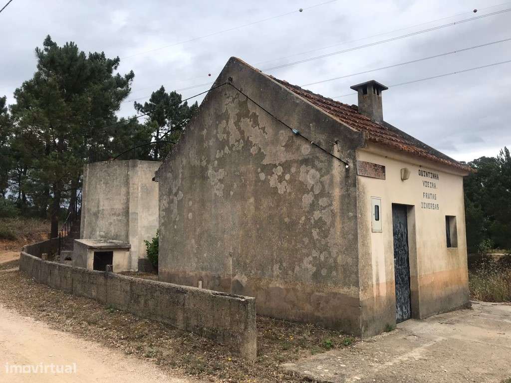 Quinta com casinha na Chancelaria, Torres Novas-6