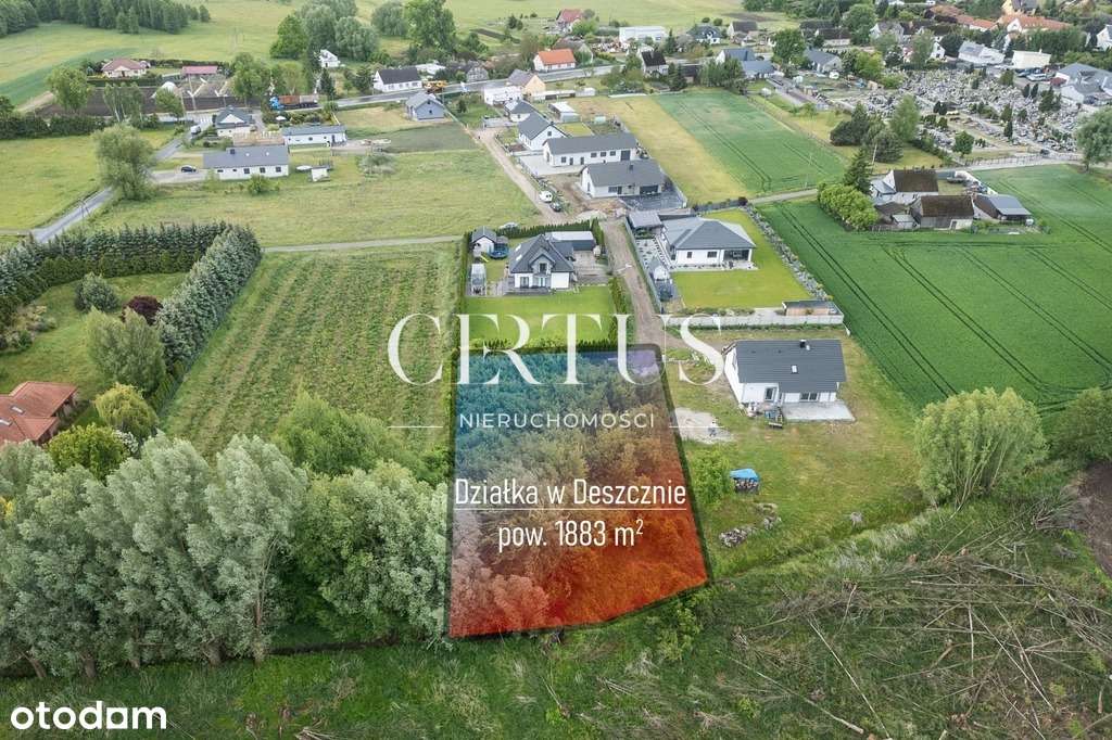 Działka budowlana w Deszcznie Chryzantemowa - Pełny obrazek: 5/6