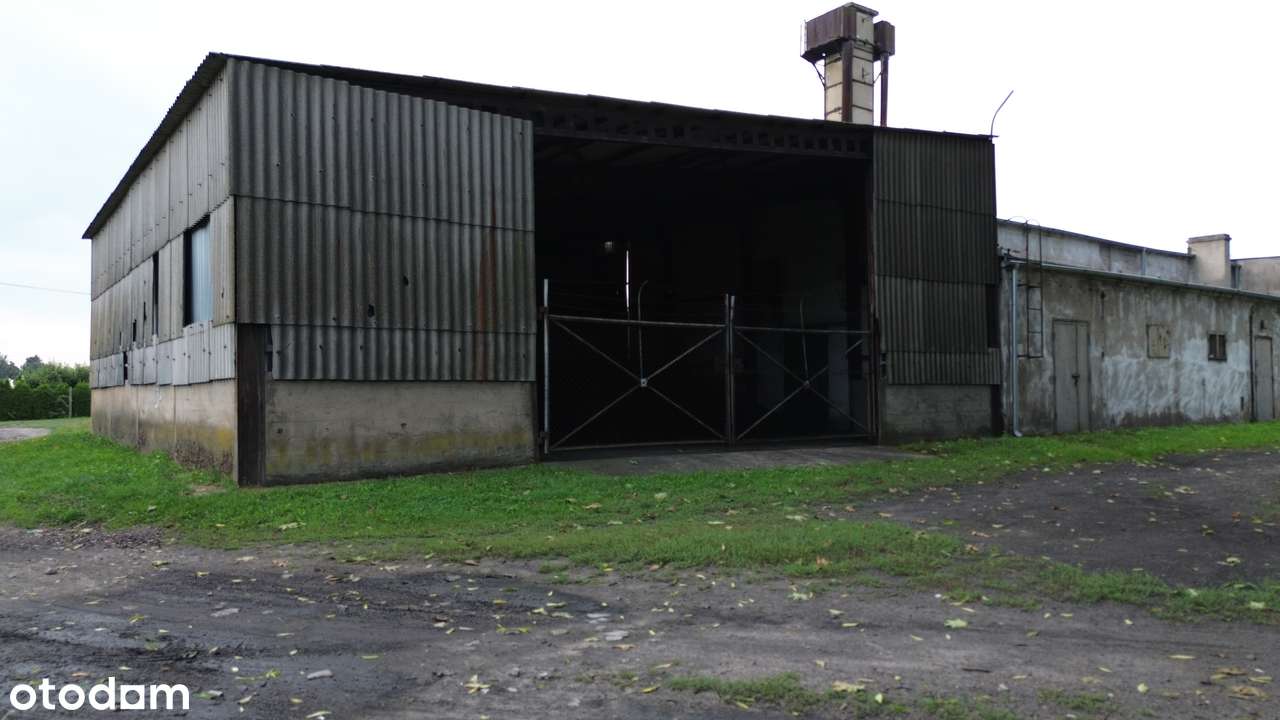 Bieskowo/hala300m2/plac1500m2 - Pełny obrazek: 5/8