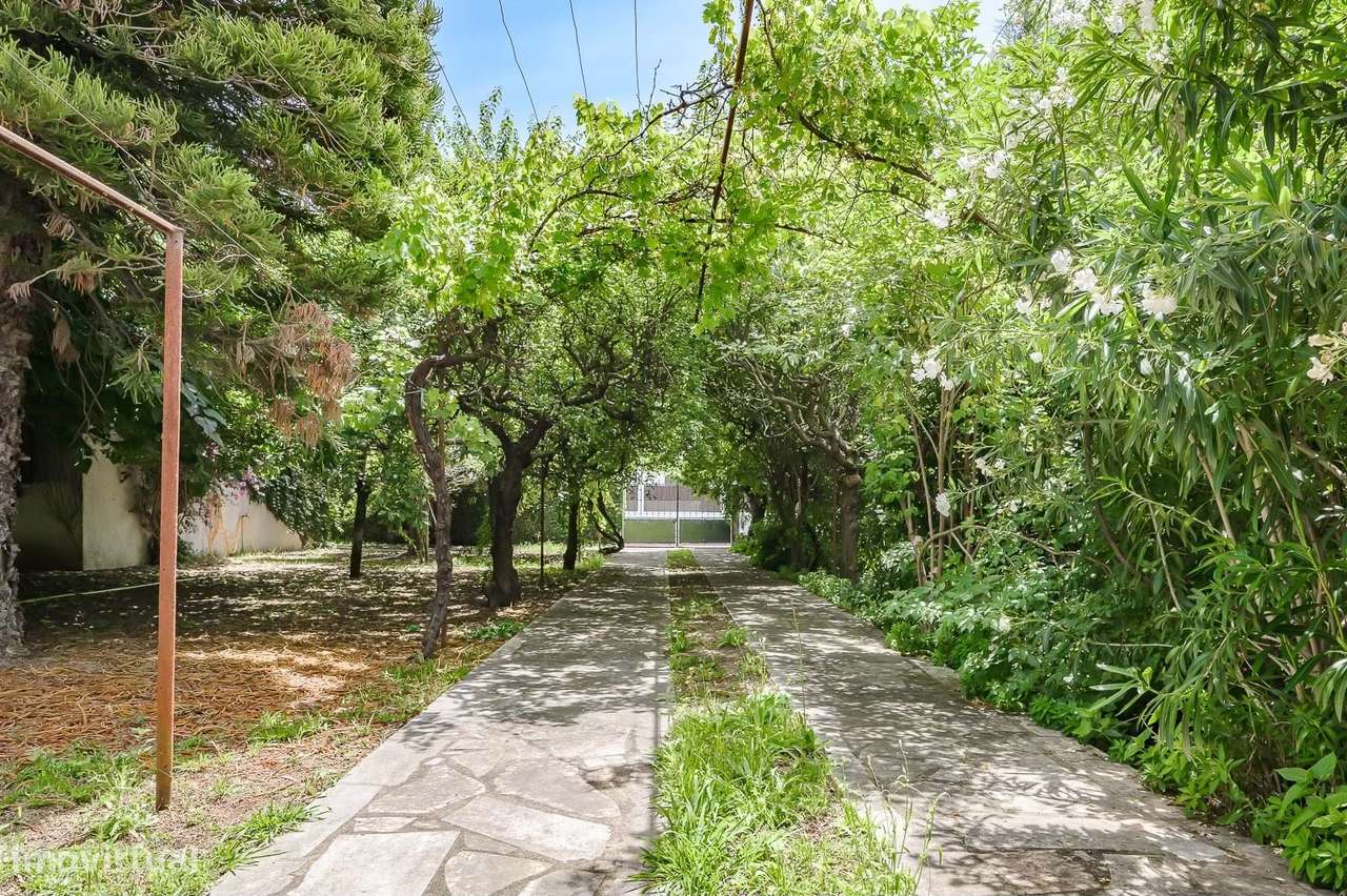 Moradia T4 com Jardim e Vista de Campo na Golegã-26