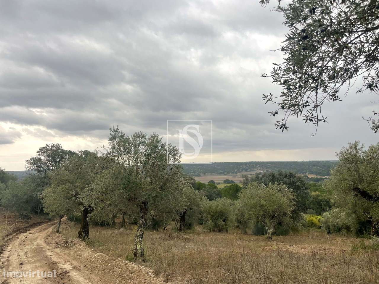 Quintinha em Montargil-9