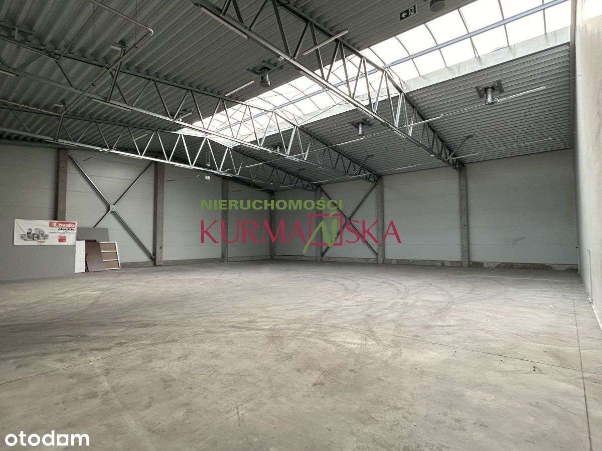 Hala produncyjno-magazynowa ul. Zimna - Pełny obrazek: 5/11
