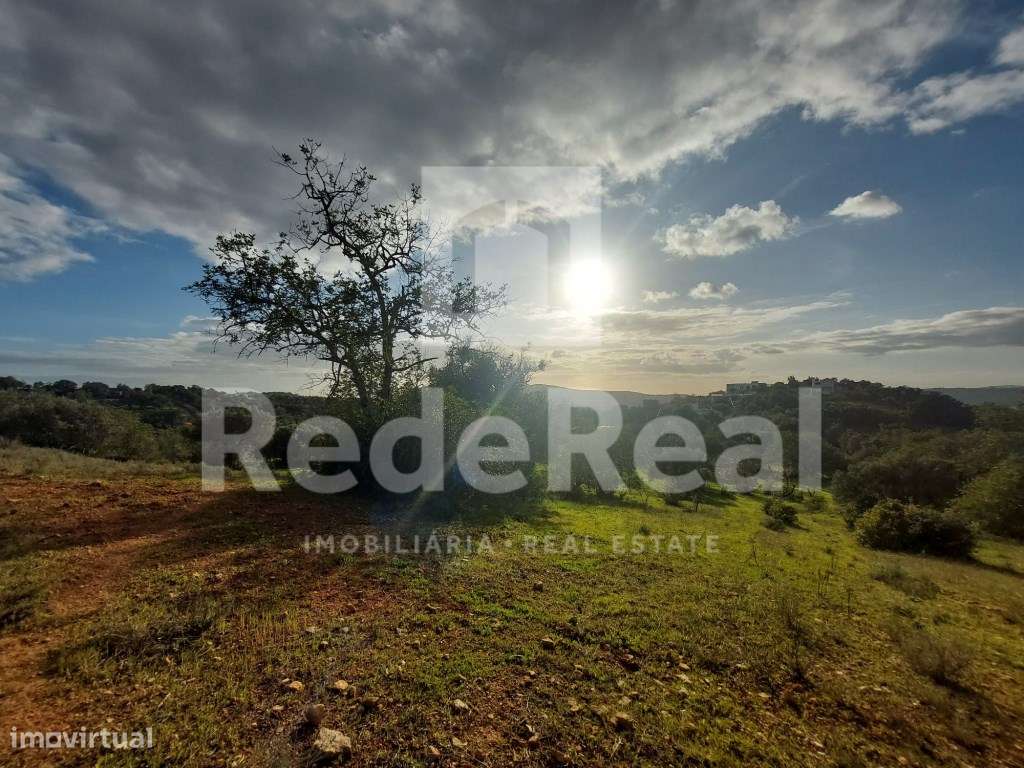 Terreno rústico com 6160m2 nos Gorjões - Grande imagem: 5/10
