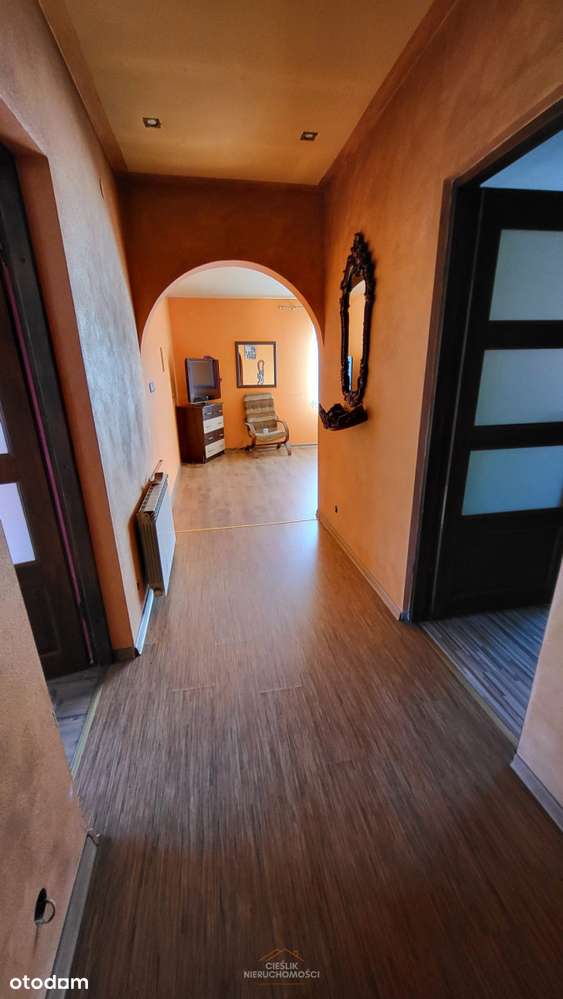 Nieruchomość z potencjałem inwestycyjnym – 3,8 ha-10