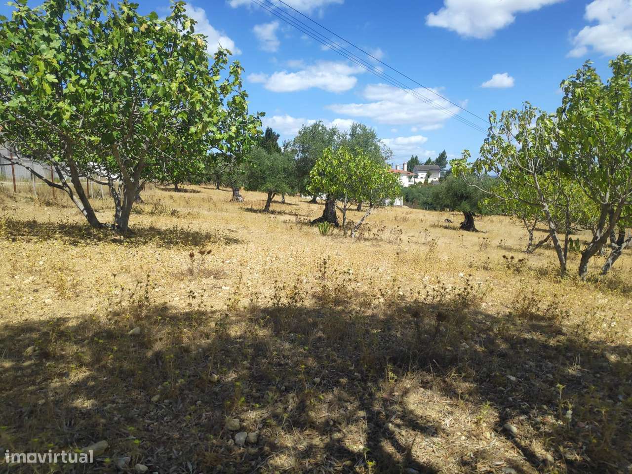 Terreno com cerca de 6000m2 em São Simão, Tomar. - Grande imagem: 5/8