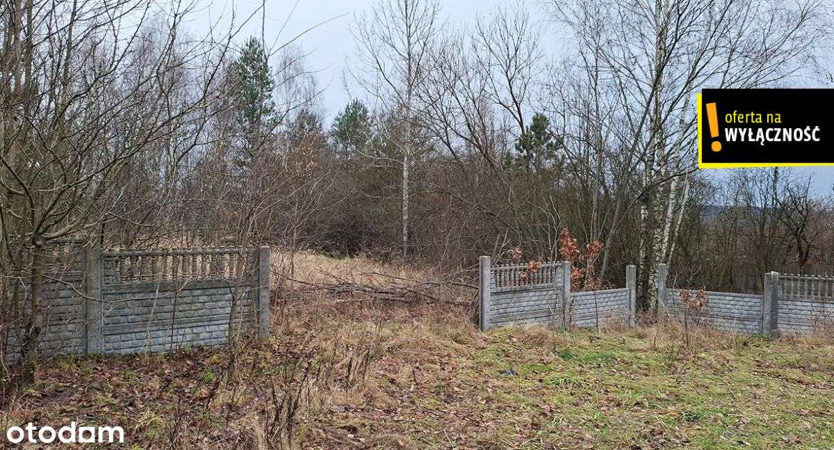 Działka budowlano-rolna Czerwona Górka-4