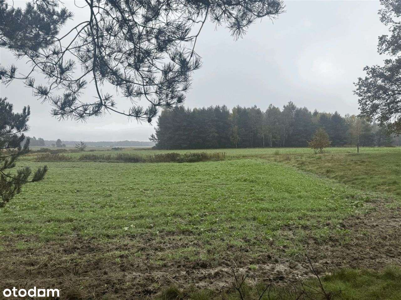 Pasywny dom (2,4 Ha) w Parku Krajobrazowym-9