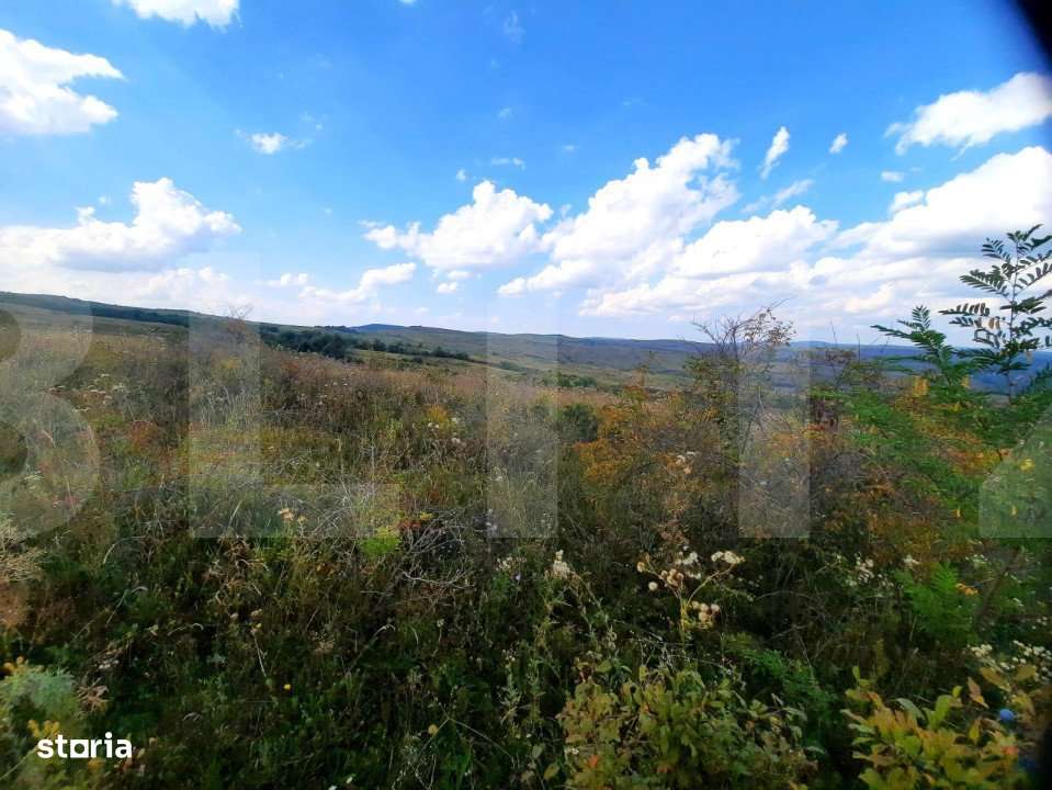 Teren intravilan de 5800 mp, situat in Padureni - Imagine principală: 3/6