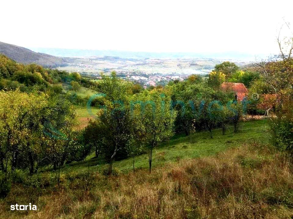 GAMINVEST Teren intravilan de 1400 mp, Suncuius, vanzare, Bihor v3489 - Imagine principală: 1/10