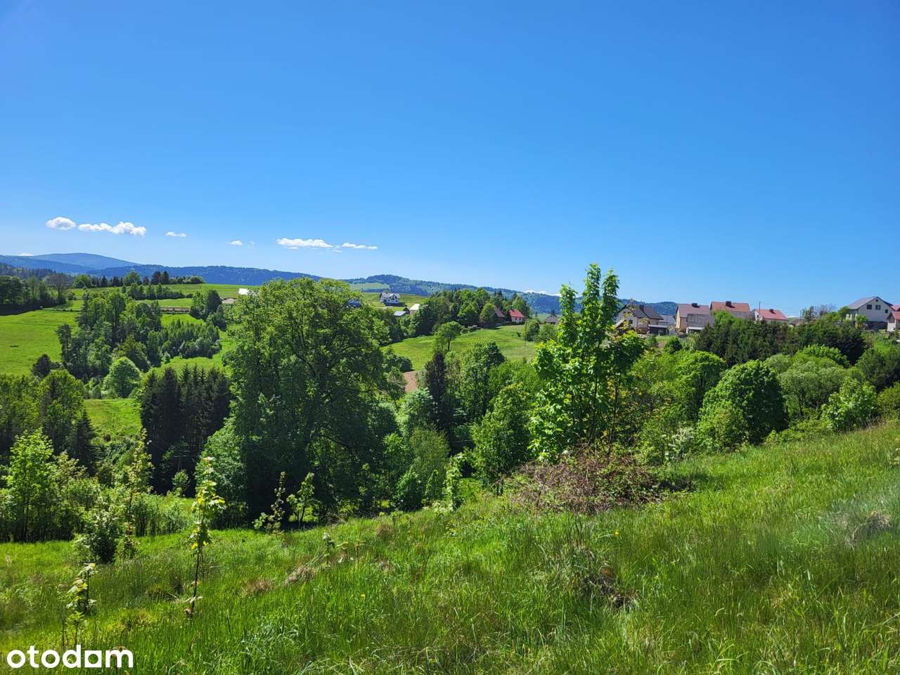 Działka budowlana, 3700 m2, Jaworzynka - Pełny obrazek: 4/7