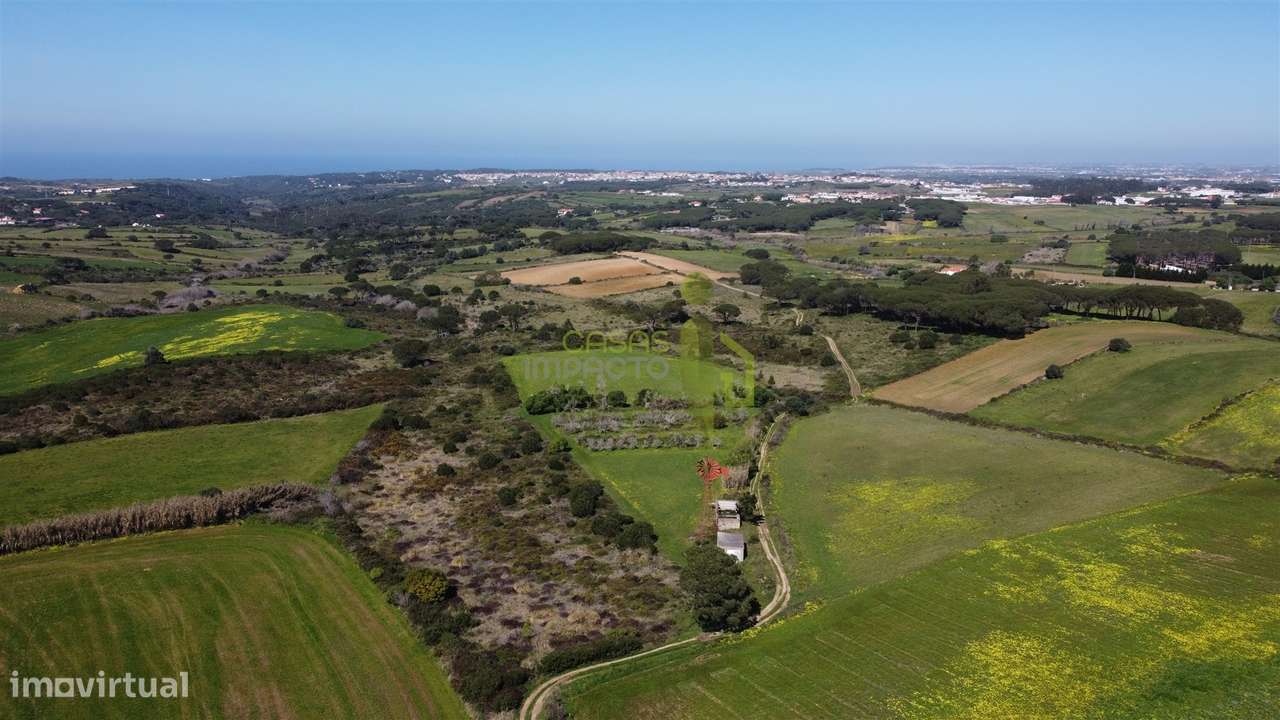Terreno Rústico com Vista Mar e Serra – Sintra - Grande imagem: 3/14