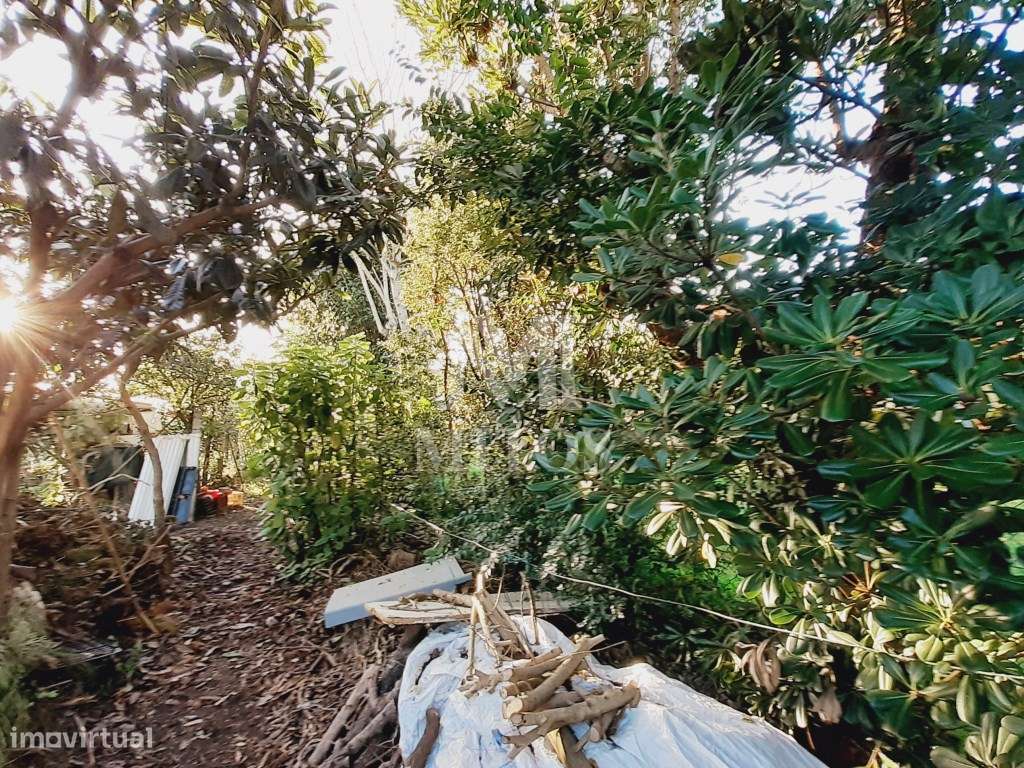 Terreno para venda Meadela, Viana do Castelo - Grande imagem: 3/11