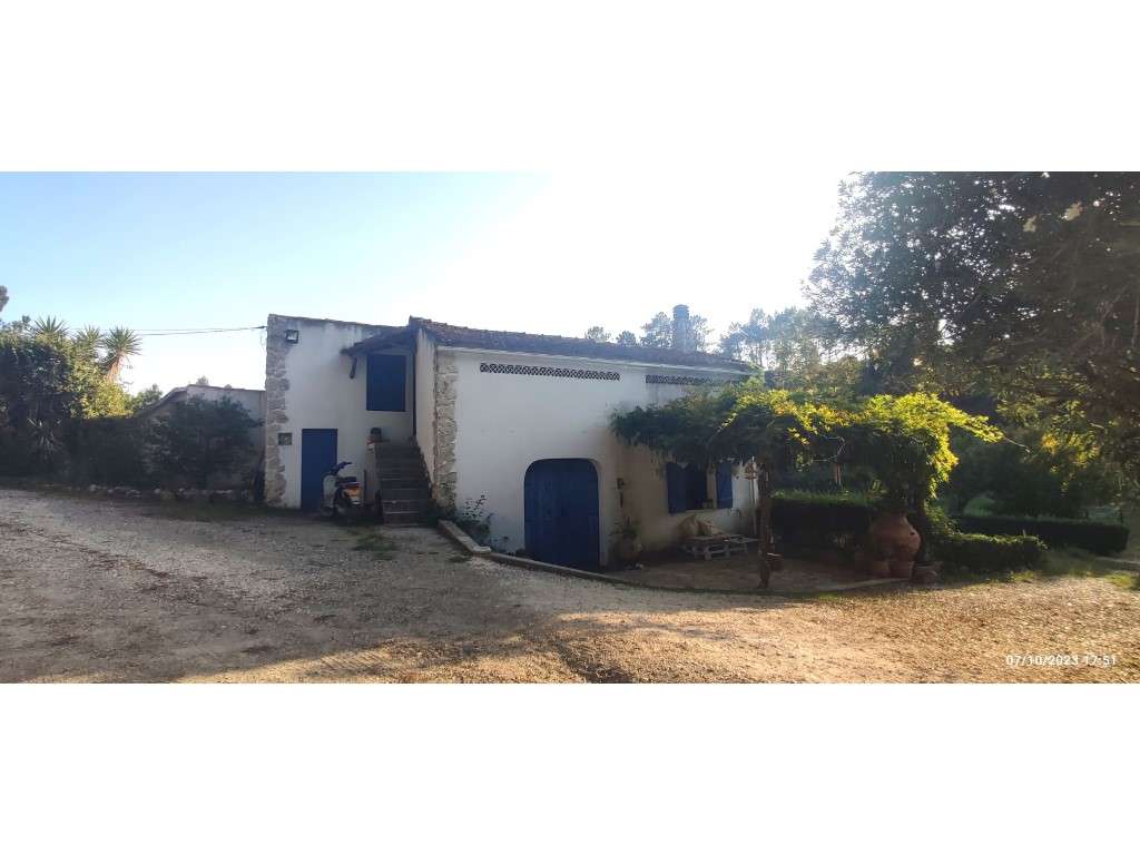 Quinta com duas moradias, anexos, diversas arvores de fruto, vinha ...-55