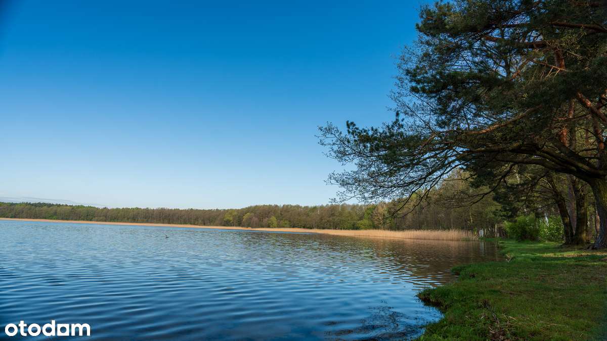 Działki na Pojezierzu Łęczyńsko-Włodawskim - Pełny obrazek: 3/10