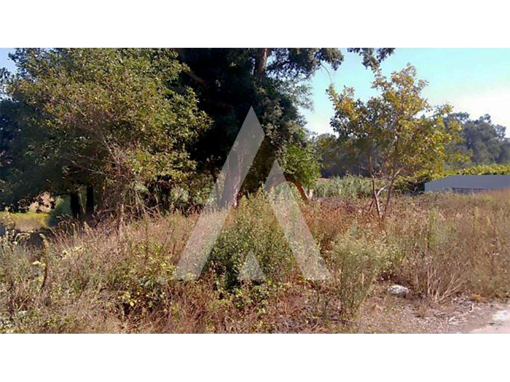 Terreno para construção de moradia uni-familiar em Oiã - Grande imagem: 2/10