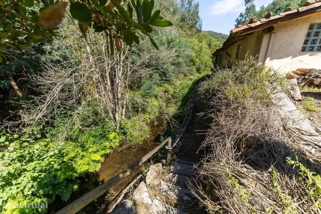 Moradia em Pedrógão Grande, Graça - Grande imagem: 5/20