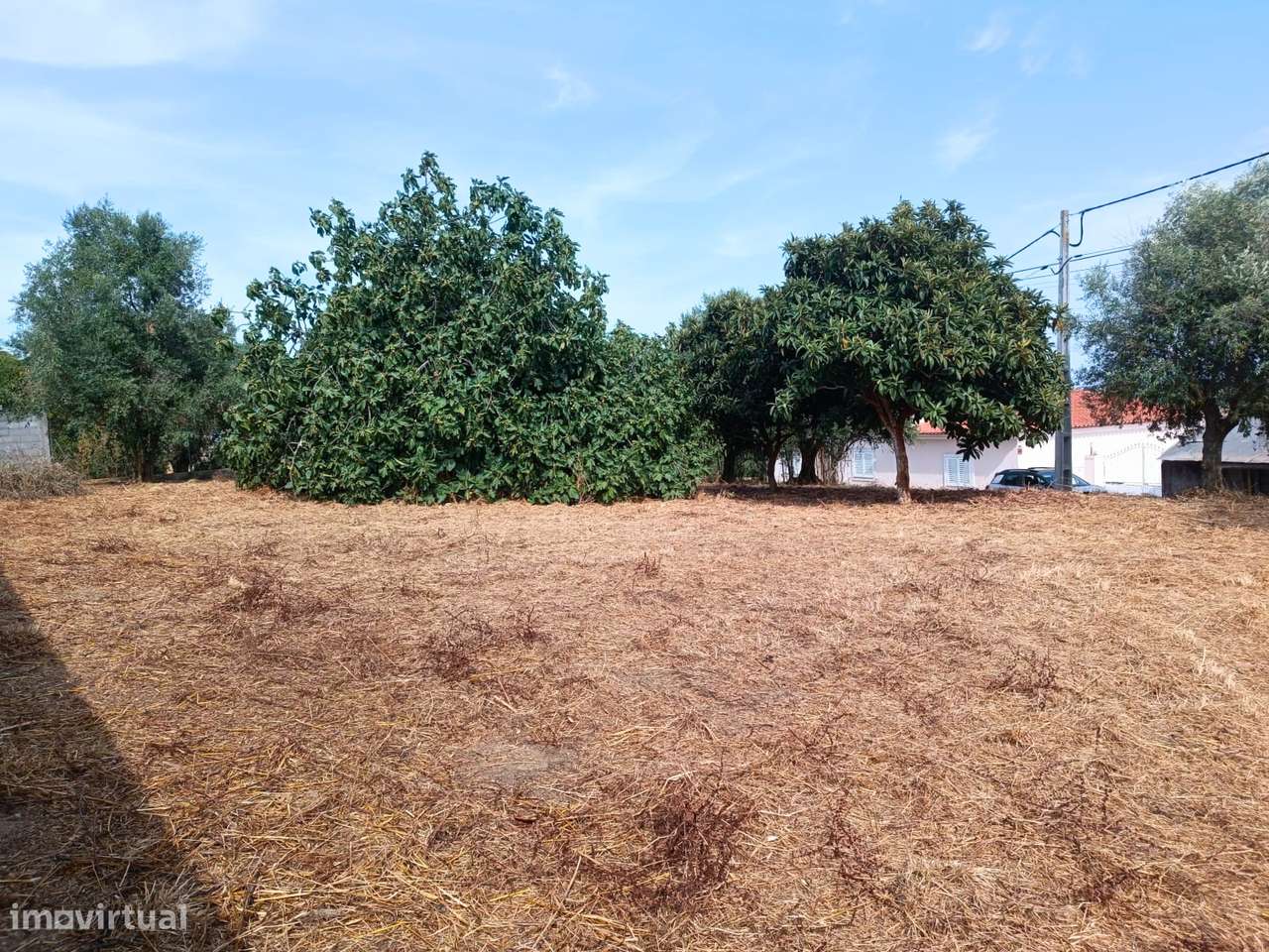 Terreno para venda em Alcanhões – 1.000m² - Grande imagem: 3/6