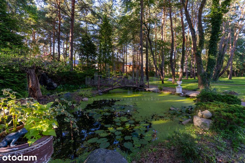 Stylowy klasyczny dom w Józefowie SPA 1ha park - Pełny obrazek: 4/20