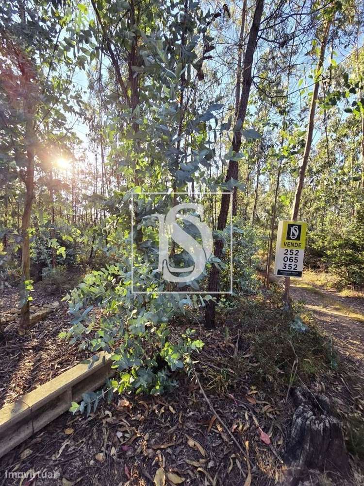 Terreno rústico – Laúndos – Póvoa de Varzim - Grande imagem: 4/11