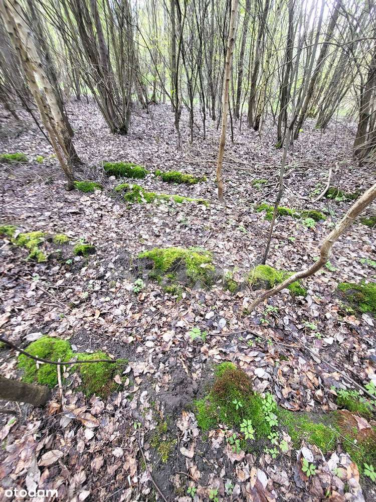 Działka zagrodowa RM/ 1, 33 ha/media/MPZP/bez prow-18