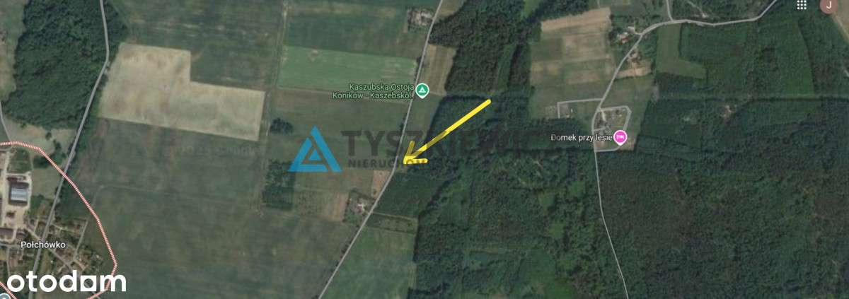 Duża działka niedaleko Krokowej. - Pełny obrazek: 2/20