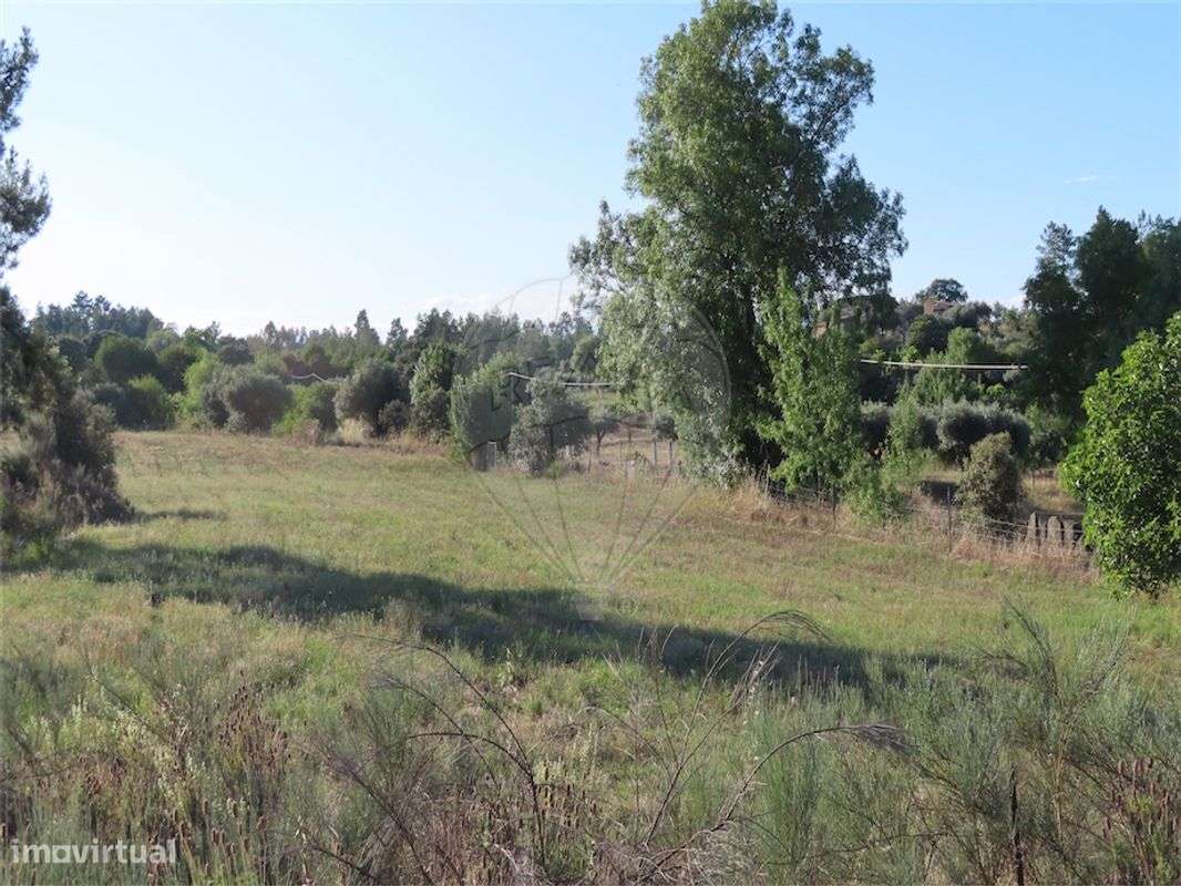 Quinta  para venda - Grande imagem: 2/49