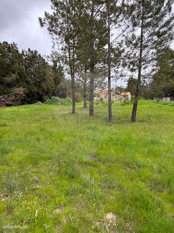 Terreno  para venda - Grande imagem: 4/26