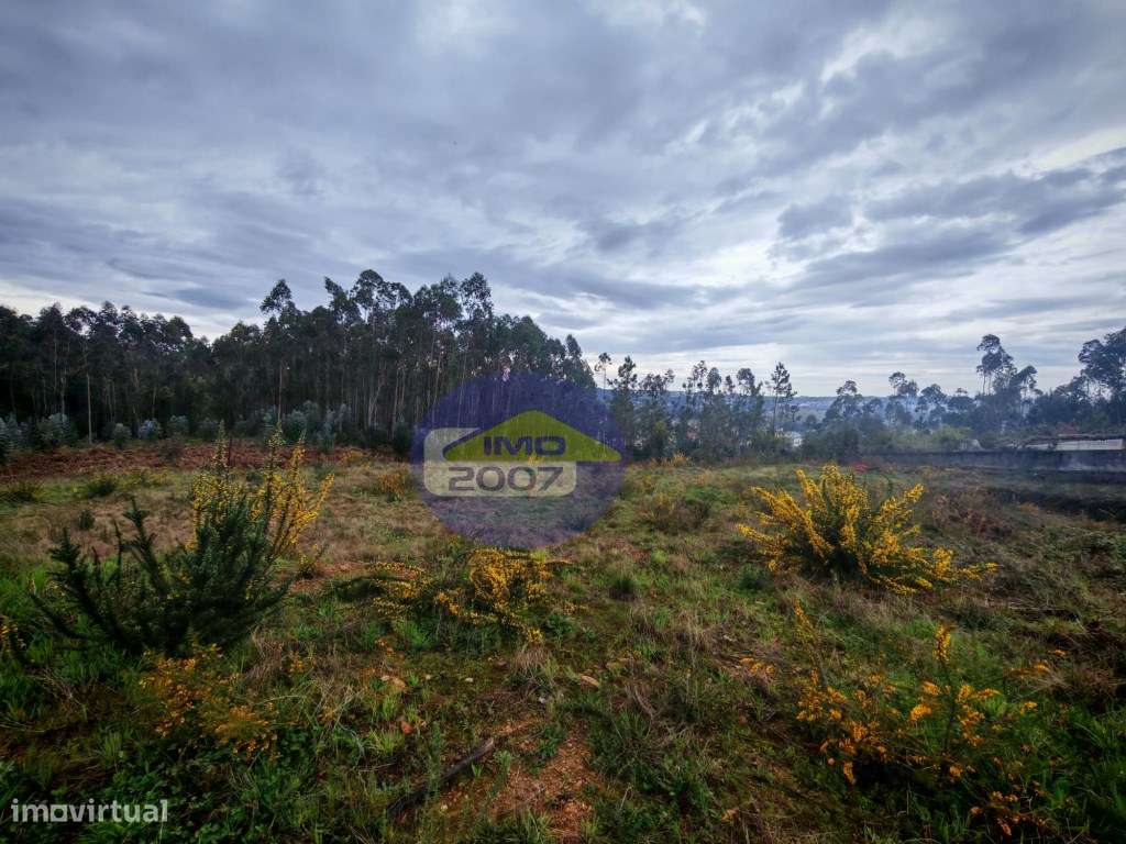 Terreno com viabilidade construção em altura - Grande imagem: 5/21