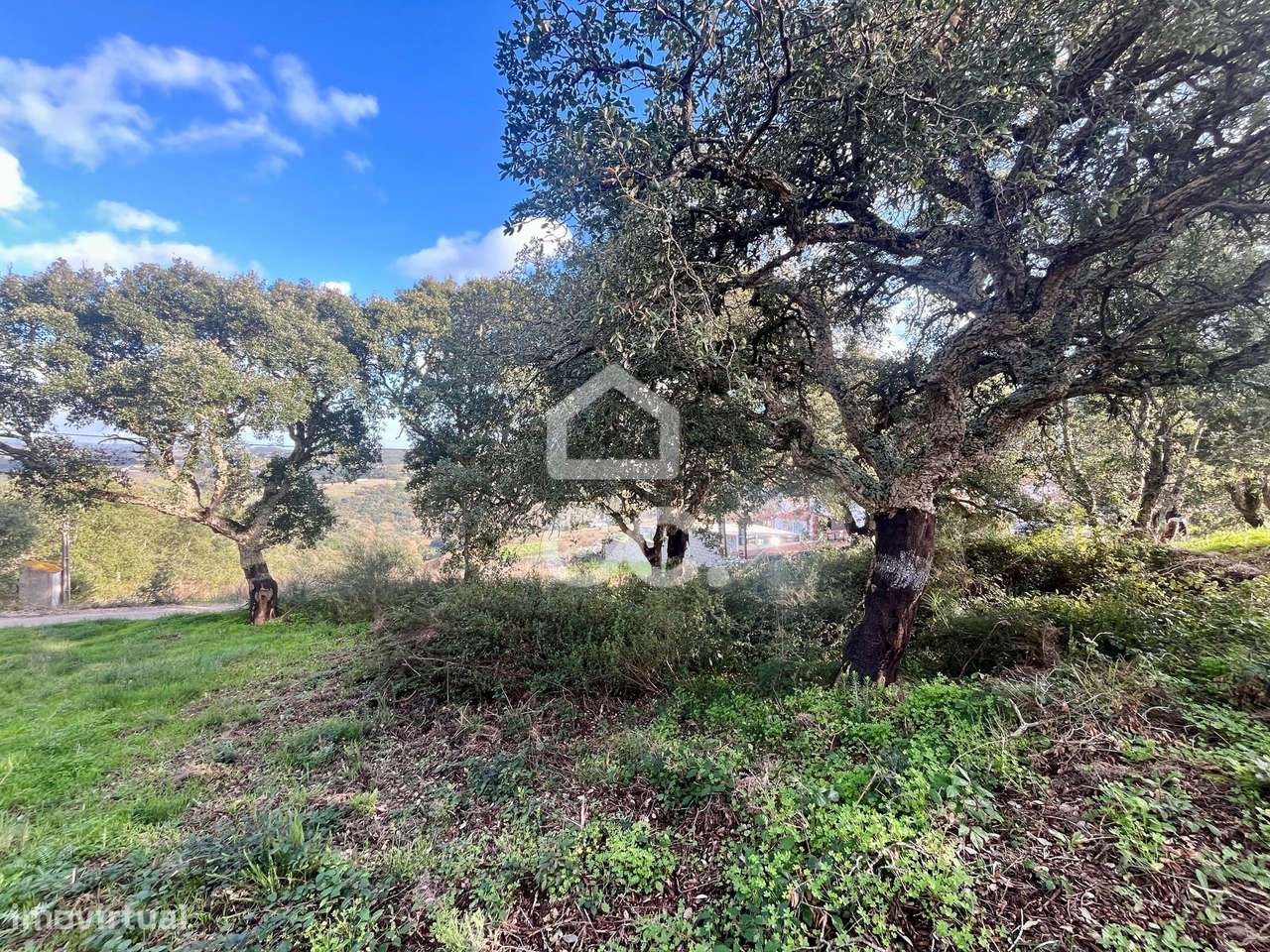 Lote para construção, A-dos-Negros, Óbidos - Grande imagem: 4/19