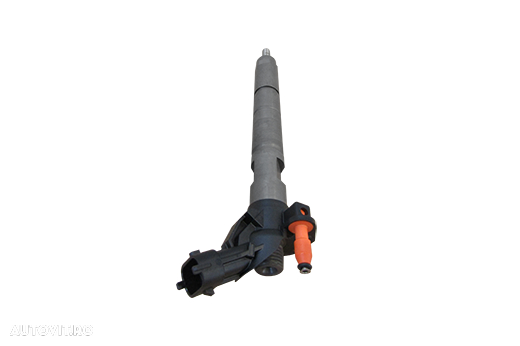 Injector Fiat Ducato Iveco Daily 3.0 0445116059 - 1