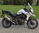 Triumph Tiger - 11