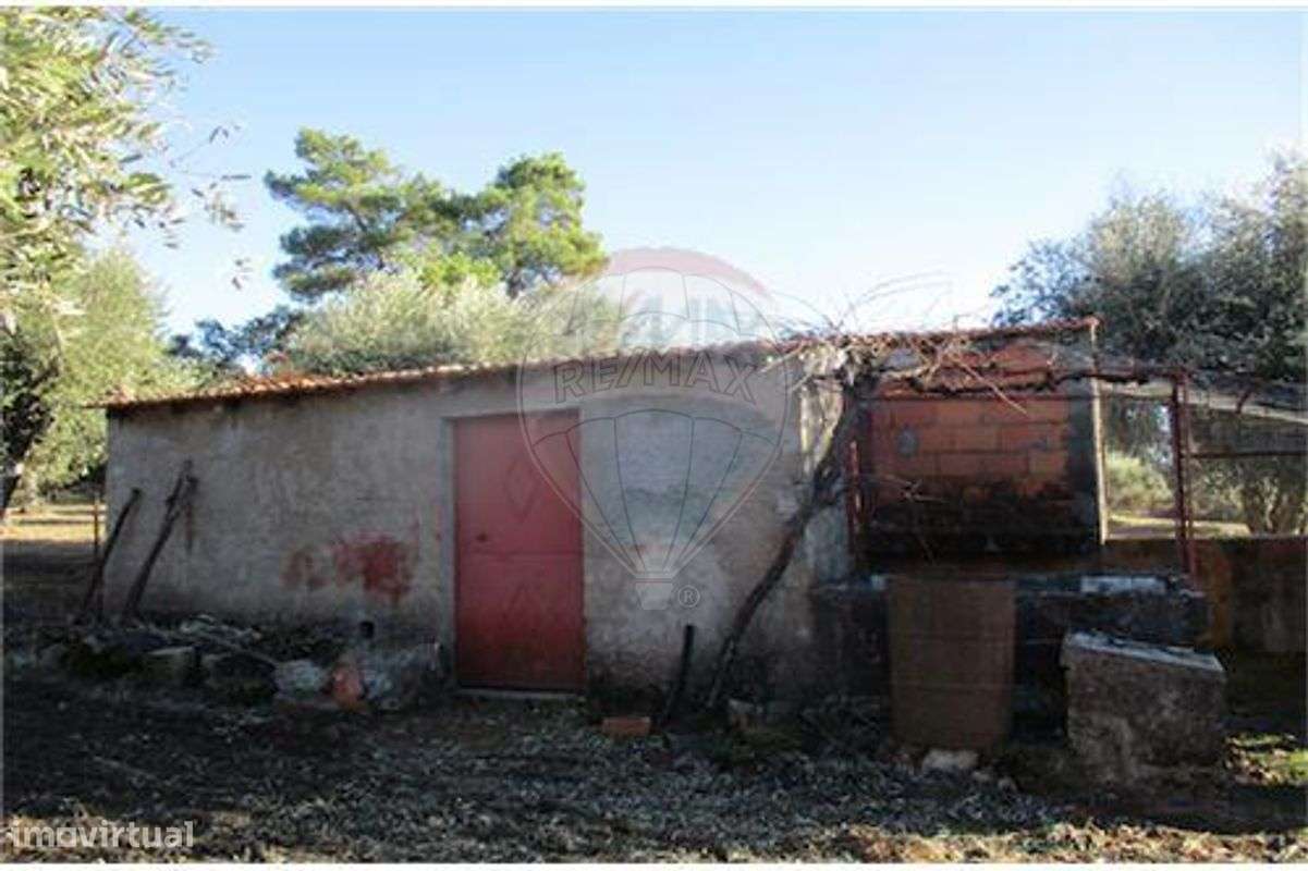 Quinta T0 para venda - Grande imagem: 5/38