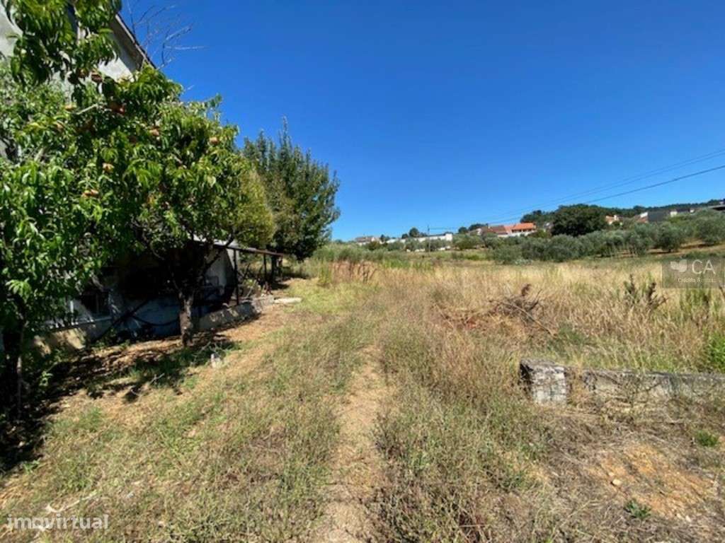 Terreno - Grande imagem: 3/9