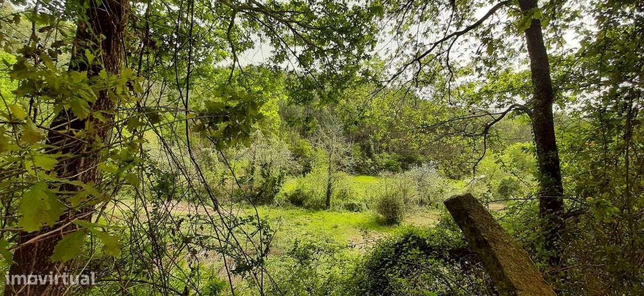 Terrenos – Sever do Vouga - Grande imagem: 3/30