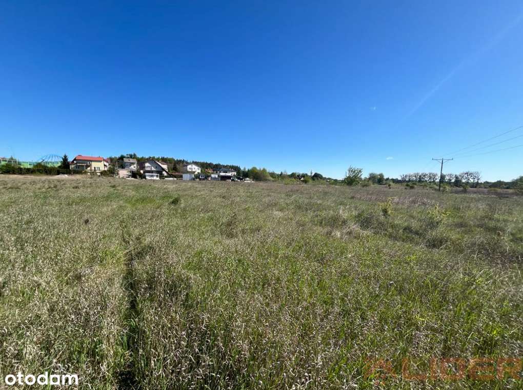 Działka z warunkami zabudowy - Pełny obrazek: 4/7